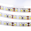 Світлодіодна стрічка біла 12V Motoko smd2835 120LED/м IP65, 1012102