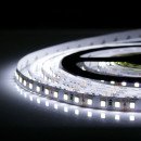 Світлодіодна стрічка OEM ST-12-2835-120-SCW-20 10000-11000K, негерметична, 1м, 00-00022692 Світлодіодна стрічка OEM ST-12-2835-120-SCW-20 10000-11000K, негерметична, 1м, 00-00022692