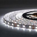 Светодиодная лента OEM ST-12-5050-60-CW-20-V2 белая, негерметичная, 1м, 00-00014488