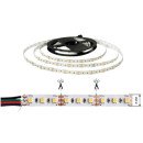 Светодиодная лента OEM ST-12-2835-120-DCCT-20 3CCT, негерметичная, 1м, 00-00022693 Светодиодная лента OEM ST-12-2835-120-DCCT-20 3CCT, негерметичная, 1м, 00-00022693
