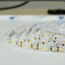 Светодиодная лента BIOM Professional BPS-G3-24-2835-120-WW-20 теплый белый, негерметичный, 1м, 00-00022695