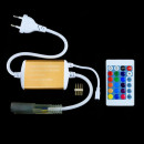 Контролер RGB Neon 220B 1200W-IR24-N, 00-00012593