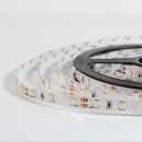Светодиодная лента OEM ST-12-2835-60-WW-20-V2 теплая белая, негерметичная, 1м, 00-00014474 Светодиодная лента OEM ST-12-2835-60-WW-20-V2 теплая белая, негерметичная, 1м, 00-00014474