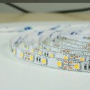 Світлодіодна стрічка BIOM Professional BPS-G3-12-5050-60-WW-20 теплий білий, негерметична, 1м, 00-00014503 Світлодіодна стрічка BIOM Professional BPS-G3-12-5050-60-WW-20 теплий білий, негерметична, 1м, 00-00014503