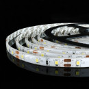 Светодиодная лента OEM ST-12-2835-60-CW-65 белая, герметичная, 1м, 00-00014476 Светодиодная лента OEM ST-12-2835-60-CW-65 белая, герметичная, 1м, 00-00014476