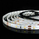 Светодиодная лента OEM ST-12-2835-60-WW-65 теплая белая, герметична, 1м, 00-00014477 Светодиодная лента OEM ST-12-2835-60-WW-65 теплая белая, герметична, 1м, 00-00014477