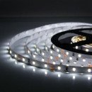 Светодиодная лента OEM ST-12-2835-60-CW-20-V2 белая, негерметичная, 1м, 00-00014369 Светодиодная лента OEM ST-12-2835-60-CW-20-V2 белая, негерметичная, 1м, 00-00014369