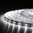Светодиодная лента BIOM Professional BPS-G3-12-2835-60-CW-20 белый, негерметичная, 1м, 00-00014496