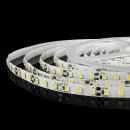 Светодиодная лента BIOM Professional BPS-G3-12-S-2835-120-CW-20 белая, негерметичная, 1м, 00-00020326