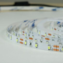Світлодіодна стрічка BIOM Professional BPS-G3-12-2835-60-NW-20 нейтральний білий, негерметична, 1м, 00-00014497