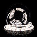 Светодиодная лента OEM ST-12-2835-120-CW-65 белая, герметичная, 1м, 00-00014485 Светодиодная лента OEM ST-12-2835-120-CW-65 белая, герметичная, 1м, 00-00014485