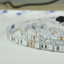 Светодиодная лента BIOM Professional BPS-G3-12-5050-60-RGB-20, негерметичная, 1м, 00-00014504
