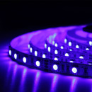 Светодиодная лента BIOM Professional BPS-G3-12-5050-60-RGB-20, негерметичная, 1м, 00-00014504
