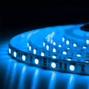 Светодиодная лента BIOM Professional BPS-G3-12-5050-60-RGB-20, негерметичная, 1м, 00-00014504