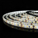 Светодиодная лента OEM ST-12-2835-120-WW-65 теплая белая, герметичная, 1м, 00-00014486 Светодиодная лента OEM ST-12-2835-120-WW-65 теплая белая, герметичная, 1м, 00-00014486