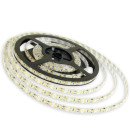Светодиодная лента B-LED 3528-120 G IP65 зеленая, герметична, 1м, 00-00000512 Светодиодная лента B-LED 3528-120 G IP65 зеленая, герметична, 1м, 00-00000512