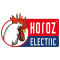 Horoz Electric