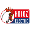 Horoz Electric