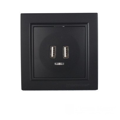 Розетка USB (2 порти) 2 A Графіт, EH-5320-PG