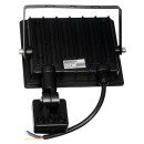 Прожектор світлодіодний з датчиком руху EVROLIGHT FM-01D-30 30W 6400К, 000057052