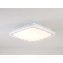 Светодиодный светильник CIRCLE-S001 RM 36W*2, CL-LED-CIRCLE-S001-RM-36W*2 Светодиодный светильник CIRCLE-S001 RM 36W*2, CL-LED-CIRCLE-S001-RM-36W*2