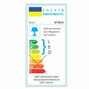 Світлодіодний консольний світильник Feron SP2820 100Вт 6400K сірий, 6026 Світлодіодний консольний світильник Feron SP2820 100Вт 6400K сірий, 6026