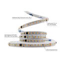 Світлодіодна LED стрічка PROLUM™ RUN 24V; 2835\120; IP20; Series "SMART", Тепло-Білий (2800-3200K), 350017 Світлодіодна LED стрічка PROLUM™ RUN 24V; 2835\120; IP20; Series "SMART", Тепло-Білий (2800-3200K), 350017