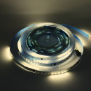 Світлодіодна LED стрічка PROLUM™ RUN 24V; 2835\120; IP20; Series "SMART", Білий (5500-6000К), 350015 Світлодіодна LED стрічка PROLUM™ RUN 24V; 2835\120; IP20; Series "SMART", Білий (5500-6000К), 350015