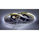 Світлодіодна LED стрічка PROLUM™ 12V; 2835\120; IP20; Series "S", Білий (5500-6000К), 320021