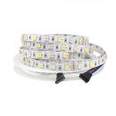 Світлодіодна LED стрічка PROLUM™ 12V; 5050\60; IP20; Series "SG", RGB+W, 320101 Світлодіодна LED стрічка PROLUM™ 12V; 5050\60; IP20; Series "SG", RGB+W, 320101