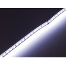 Світлодіодна LED стрічка PROLUM™ 12V; 2835\120; IP20; Series "PRO", Білий (5500-6000К), 320008