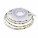 Світлодіодна LED стрічка PROLUM™ 12V; 2835\120; IP20; Series "PRO", Білий (5500-6000К), 320008