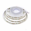 Светодиодная LED лента PROLUM™ 12V; 2835\120; IP20; Series "PRO", Нейтральный-Белый (3800-4300K), 320007 Светодиодная LED лента PROLUM™ 12V; 2835\120; IP20; Series "PRO", Нейтральный-Белый (3800-4300K), 320007