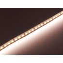 Світлодіодна LED стрічка PROLUM™ 12V; 2835\120; IP20; Series "PRO", Нейтральний-Білий (3800-4300K), 320007