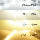 Светодиодная LED лента PROLUM™ 24V; 2835\120; IP20; Series Светодиодная LED лента PROLUM™ 24V; 2835\120; IP20; Series