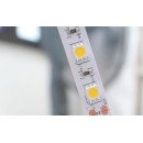 Світлодіодна LED стрічка PROLUM™ 12V; 5050\60; IP20; Series "S", RGB, 320028 Світлодіодна LED стрічка PROLUM™ 12V; 5050\60; IP20; Series "S", RGB, 320028