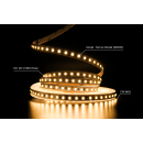 Светодиодная LED лента PROLUM™ 12V; IP20; Series 