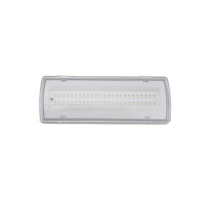 Світильник евакуаційний UJ01-24LED-2W-6500K-3H-200L-IP65 TNSy, TNSy5000559