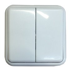 Выключатель внеш. устан. 2-кл. белый IP20 TNSy Lemur TNSy