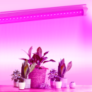 LED FITO світильник лінійний VIDEX T8 0,6М 10W, VL-T8FF-1006B