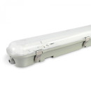 LED світильник IP65 лінійний під лампу 2хТ8 VIDEX 0,6М 220V, VL-BNW-T8062G