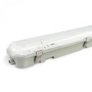 LED светильник IP65 линейный под лампу 2хТ8 VIDEX 0,6М 220V, VL-BNW-T8062G