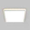 LED світильник з декоративною підсвіткою VIDEX DL3S 24W 4000K Білий, VL-DL3S-244W LED світильник з декоративною підсвіткою VIDEX DL3S 24W 4000K Білий, VL-DL3S-244W