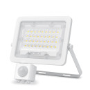 LED прожектор VIDEX F2e 30W 5000K с датчиком движения и освещенности, VL-F2e305W-S